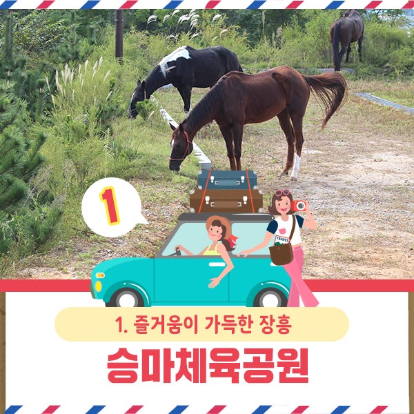 장흥 승마체육공원 이미지