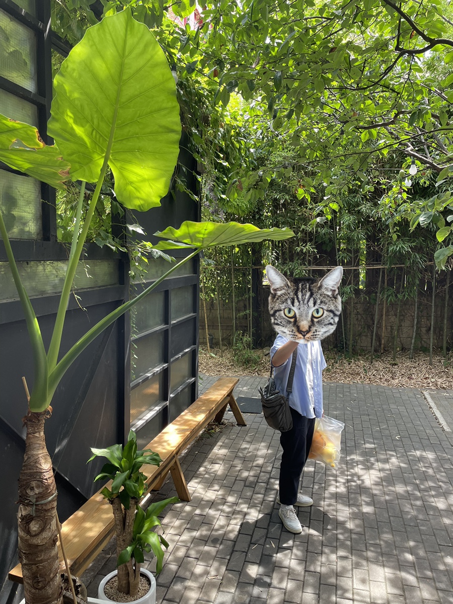 뉴욕라츠오베이글스 이미지
