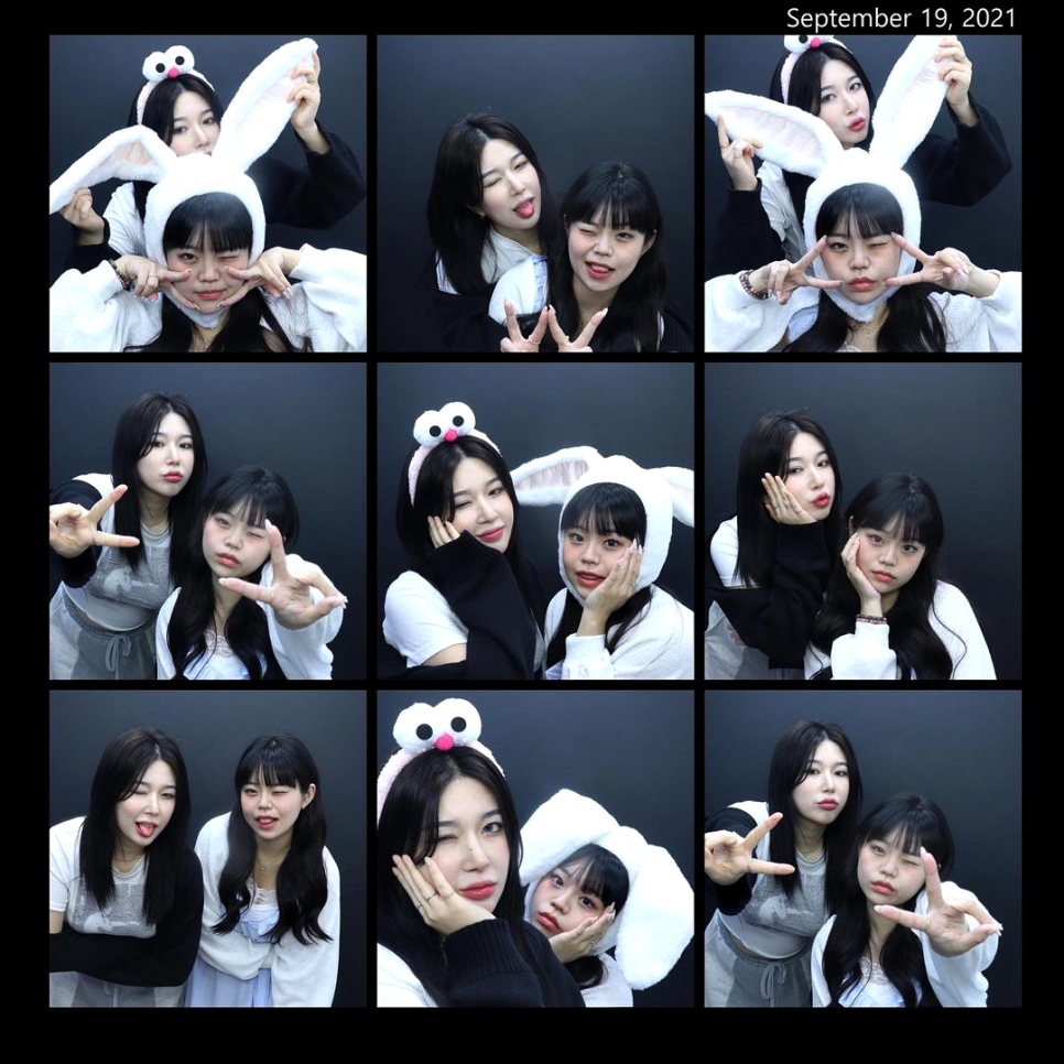 비부스 이미지