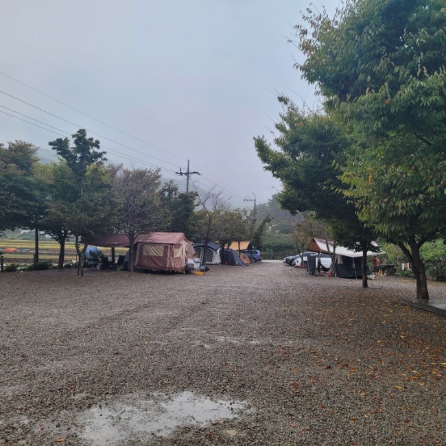 고성장좌리캠핑장 이미지