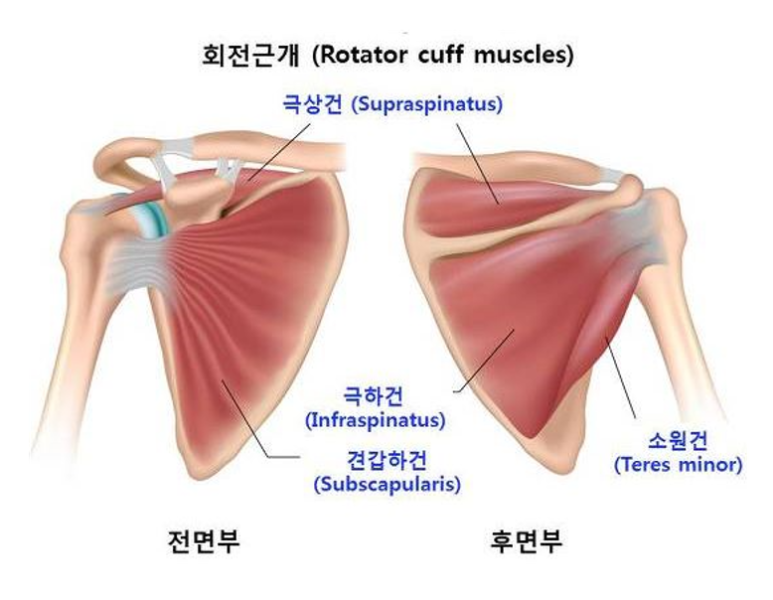 아지트피티 이미지