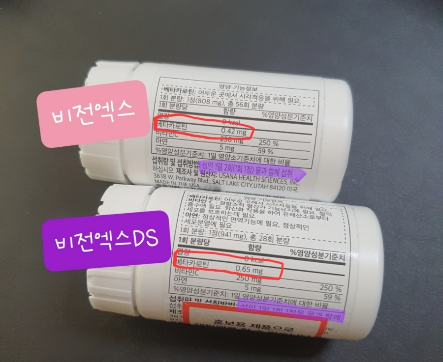 디에스21 이미지