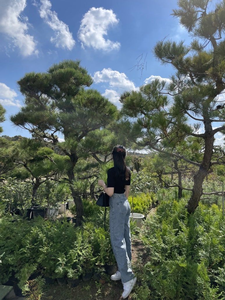 유영하우스 이미지