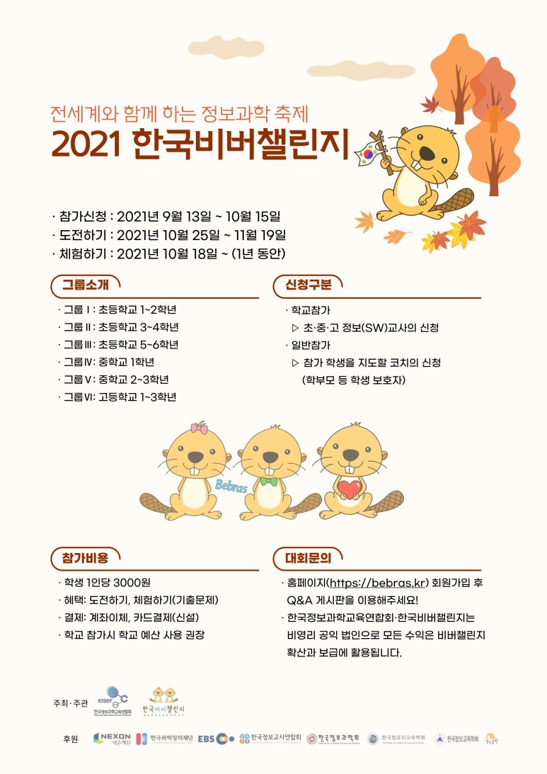 비버코딩 이미지