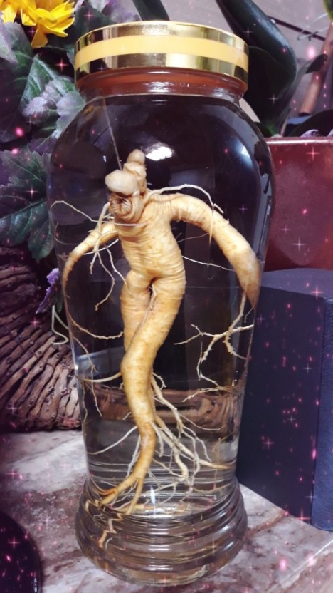 백삼한의원 이미지
