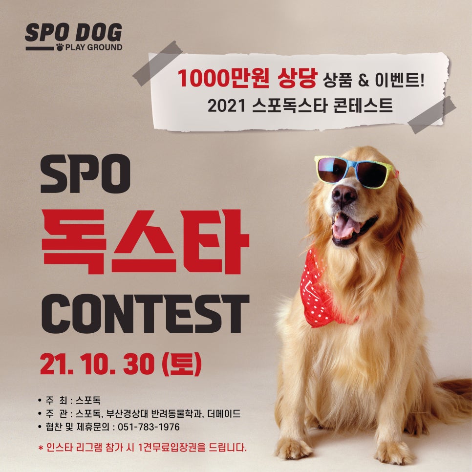 스포독 이미지
