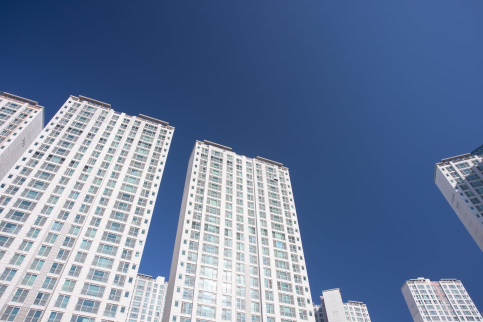 독도부동산 이미지