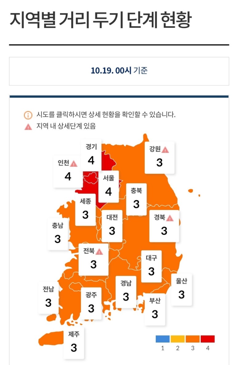 브라운빈두정 이미지