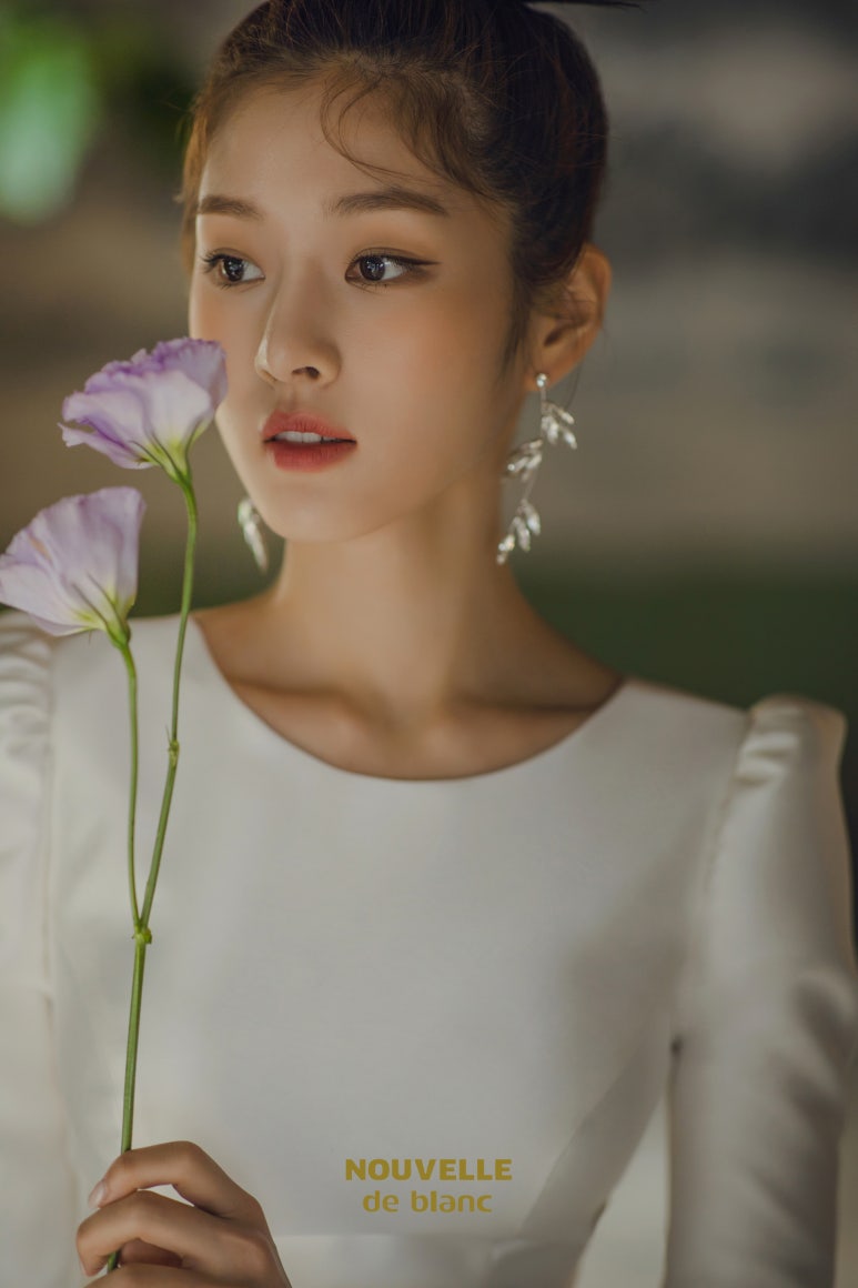 벨누벨 이미지