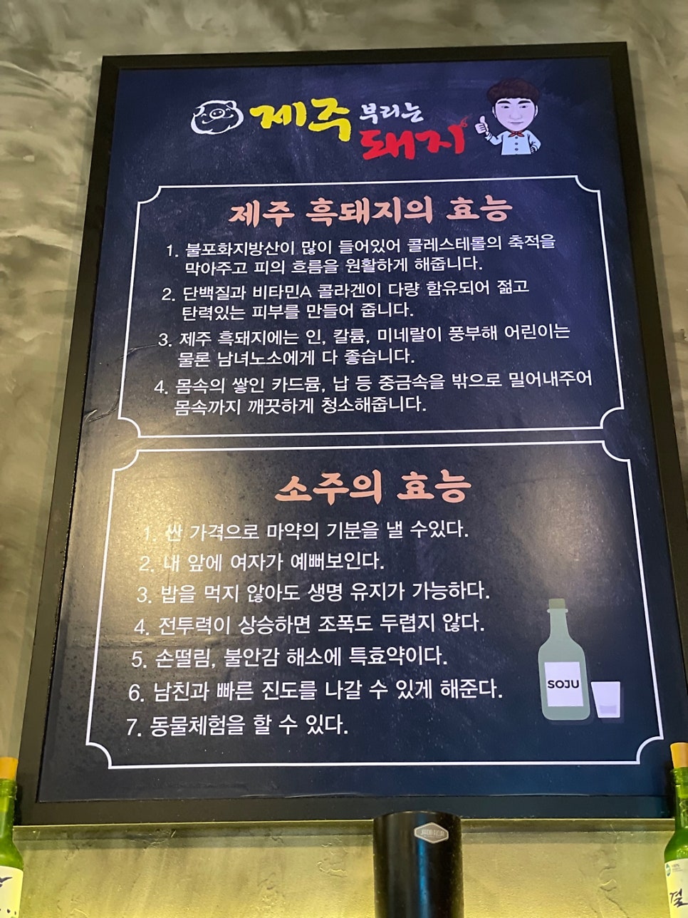 제주부리는돼지 이미지