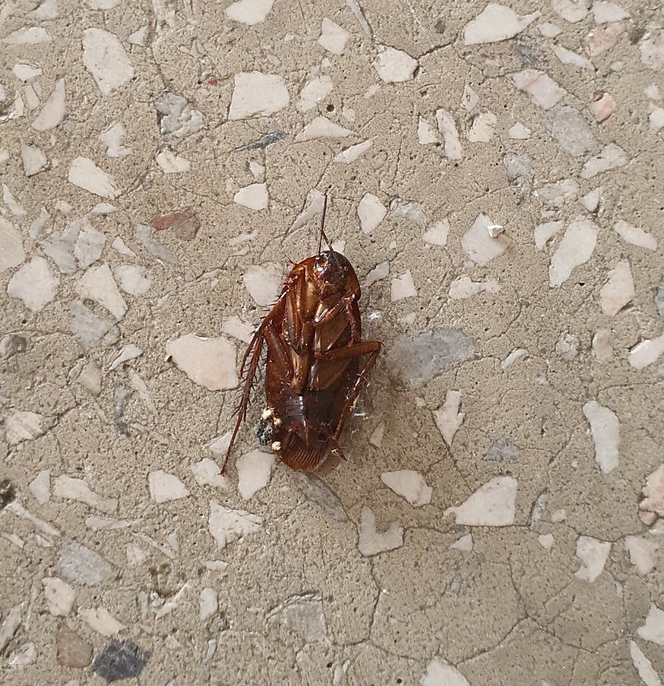 늘푸른크린 이미지