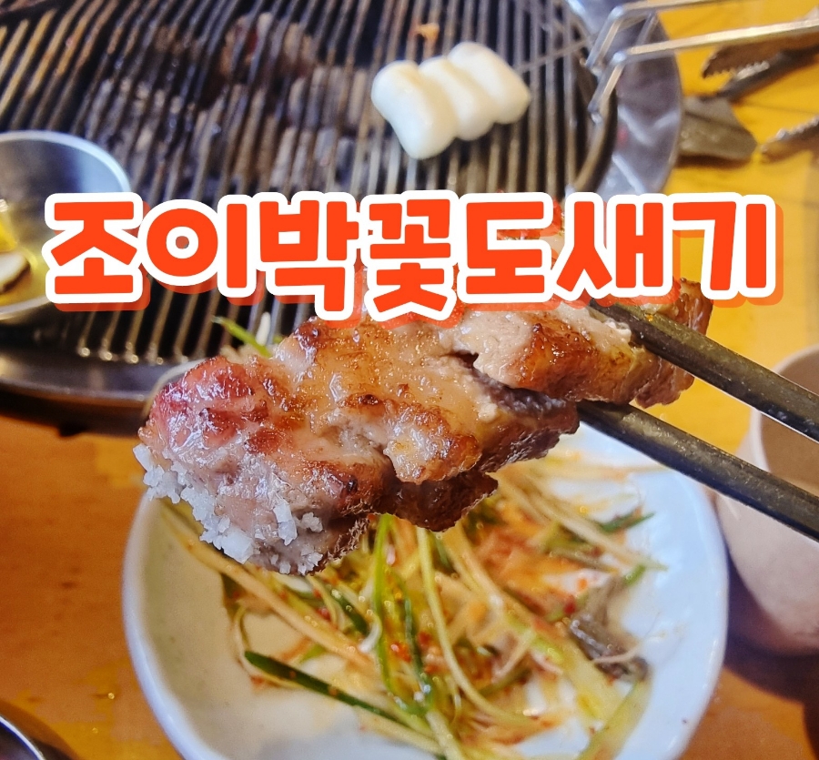 조이박꽃도새기 이미지