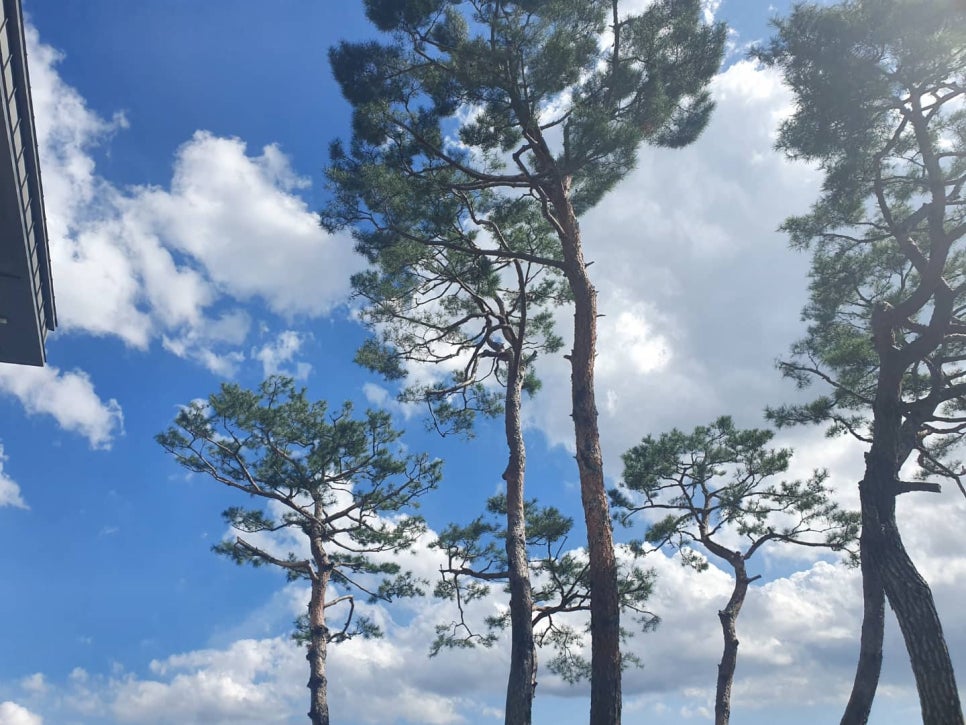 호두당울산삼산점 이미지
