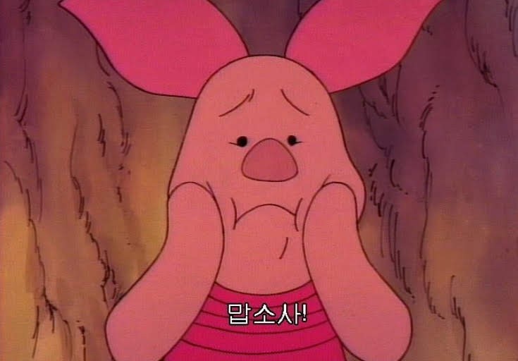 라인텐 이미지