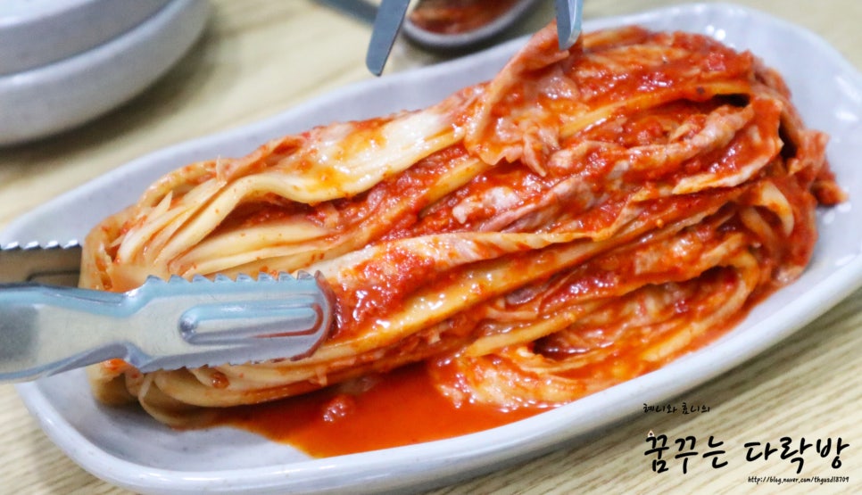 곰챙이 이미지