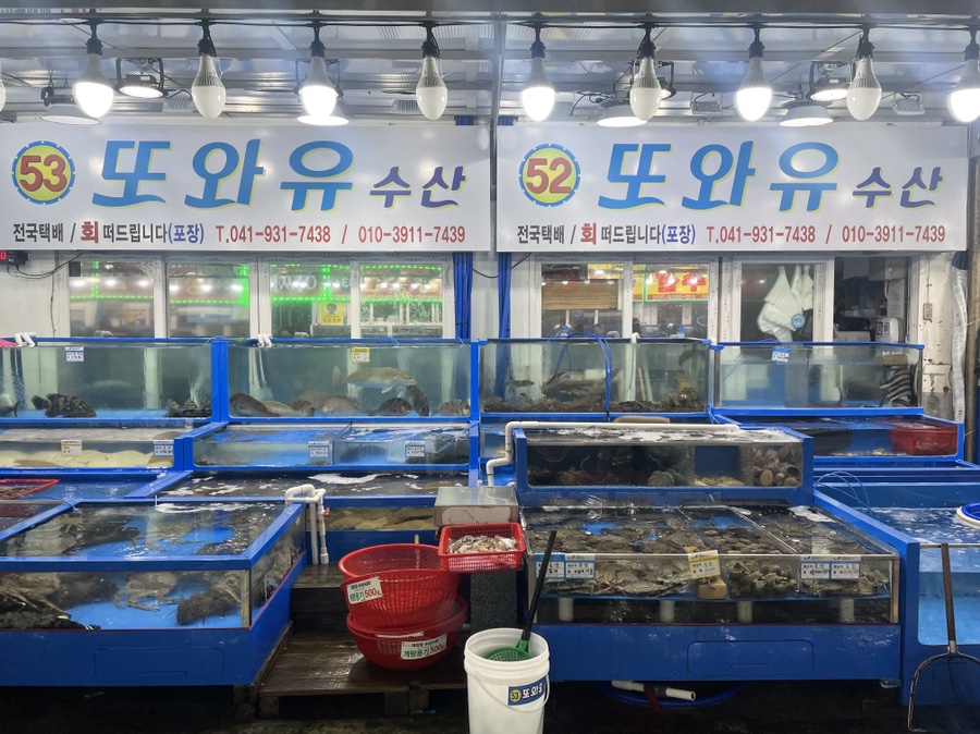 또와수산 이미지