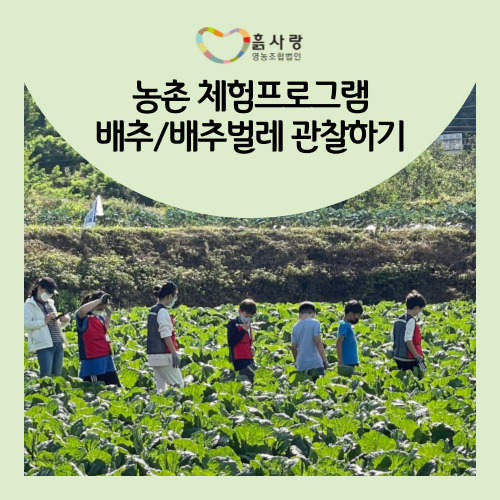 농촌사랑 영농조합법인 이미지