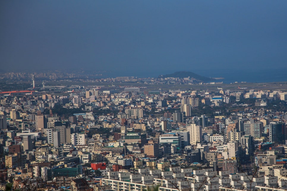 사라봉해장국 사진 2