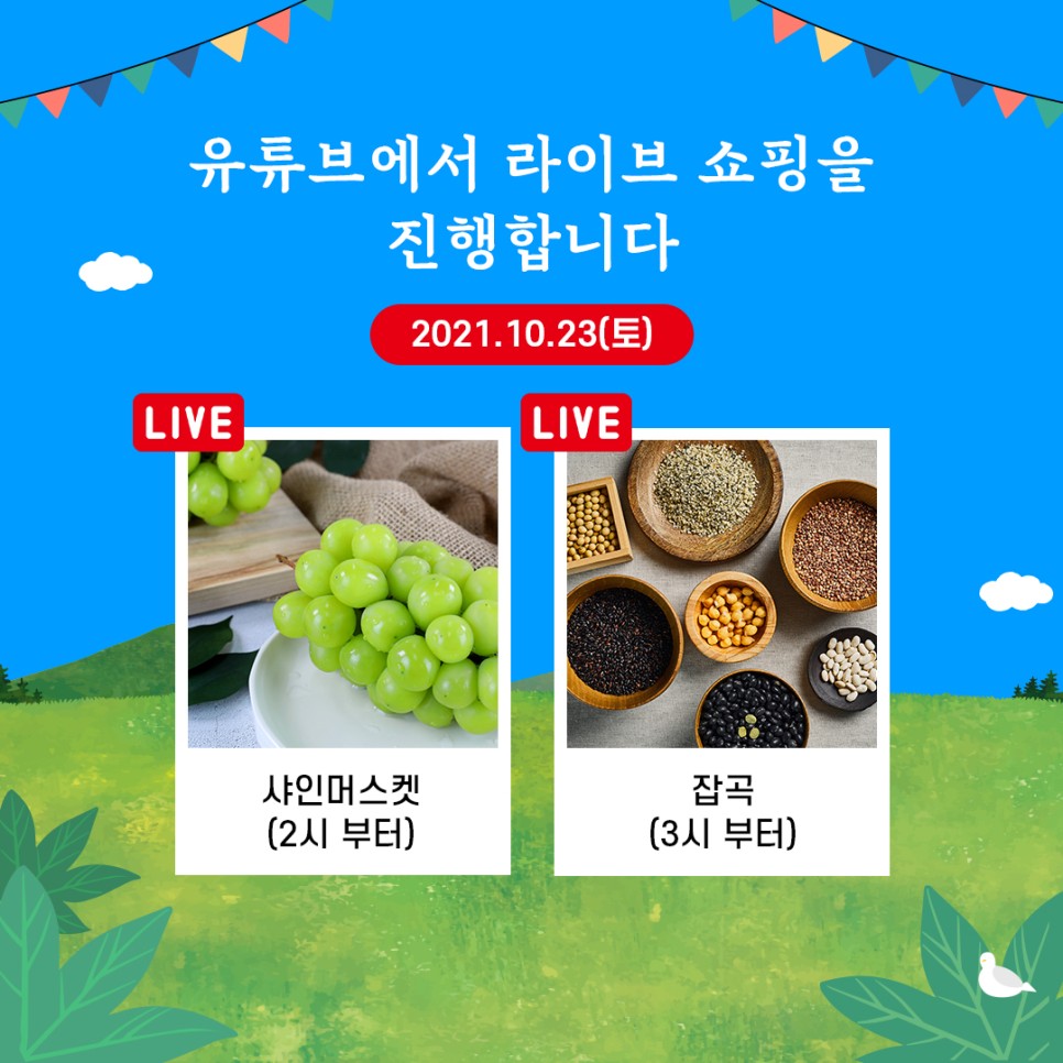 장터쇼핑 이미지