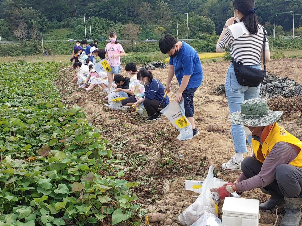 화잠초등학교 이미지