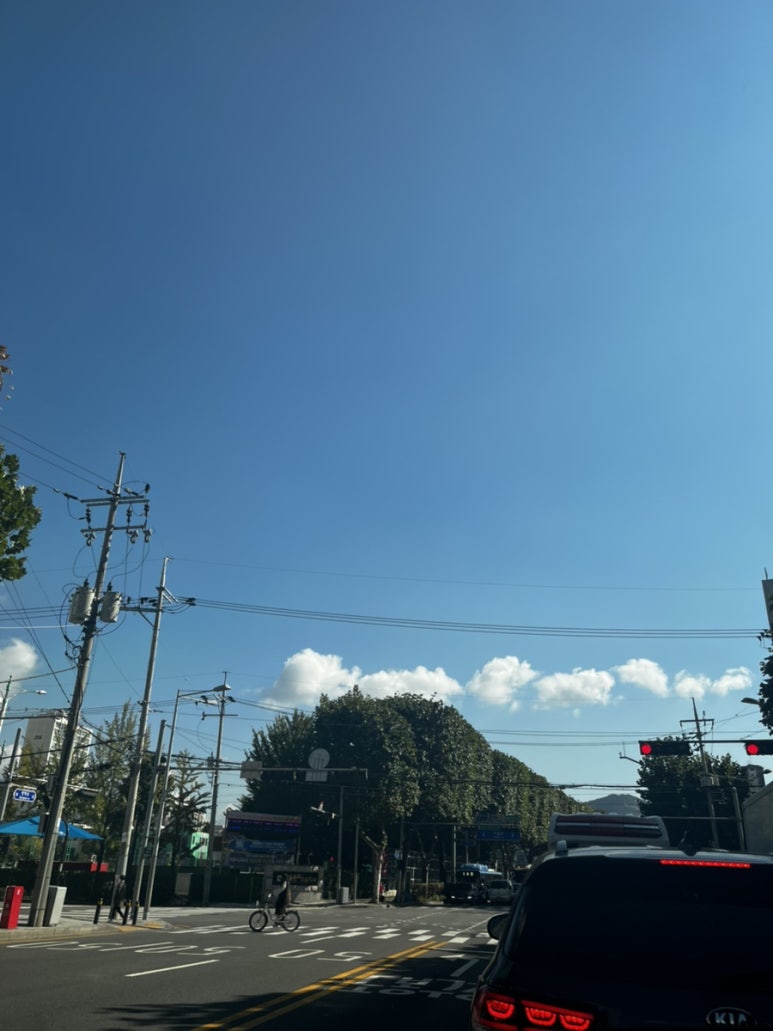 김삿갓밥줘 사진 8