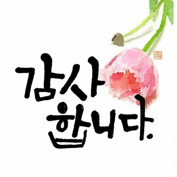 감성푸드 이미지