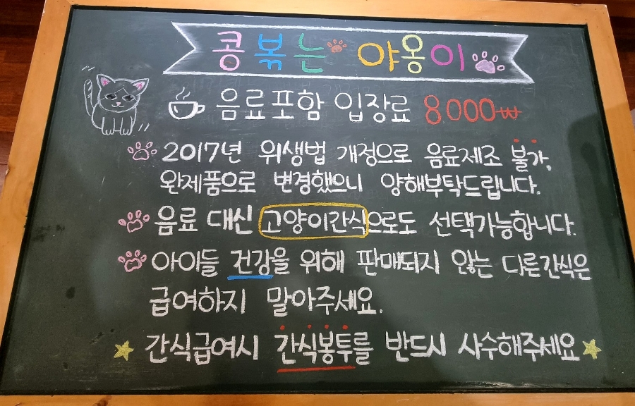 콩볶는야옹이 이미지