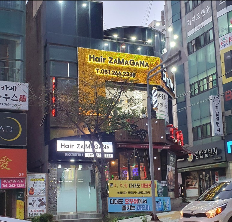 헤어 자마가나 이미지