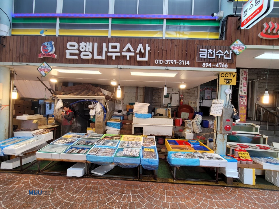 은행나무수산 이미지