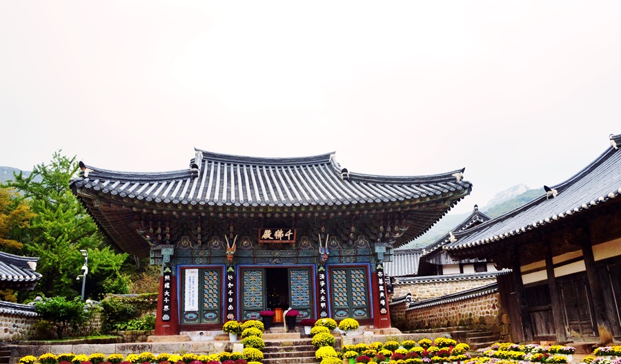 대흥사 이미지