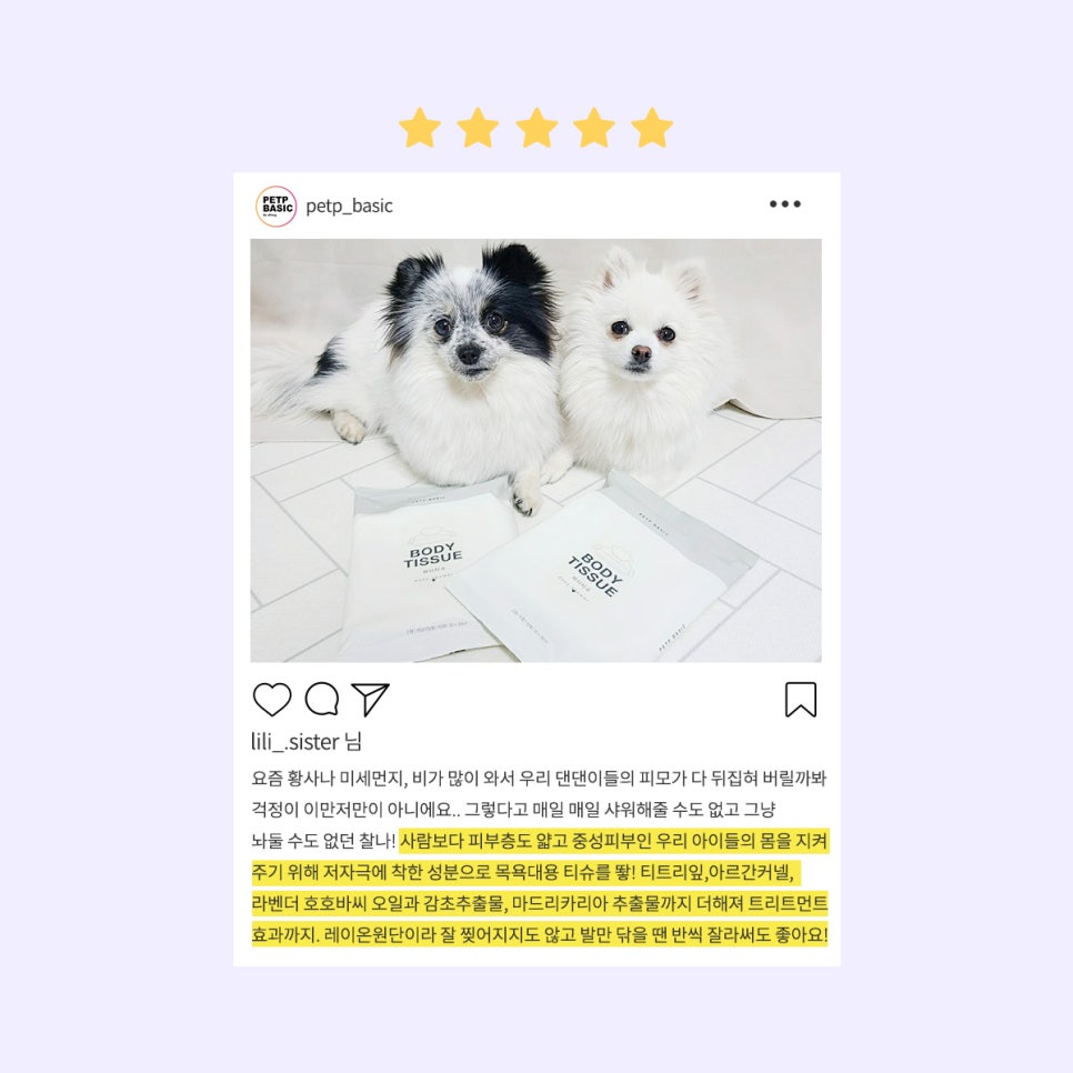 베이직바디 이미지