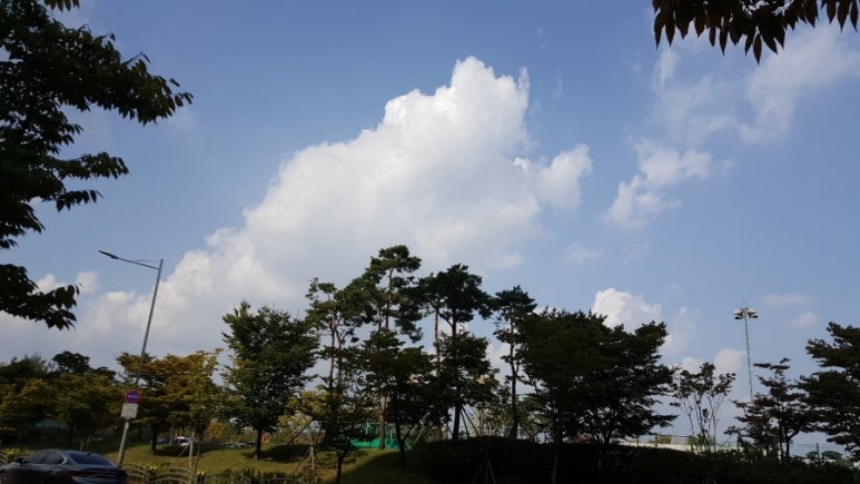 퀸즈헤나 이미지