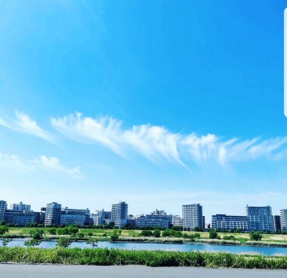 도쿄밥상 이미지