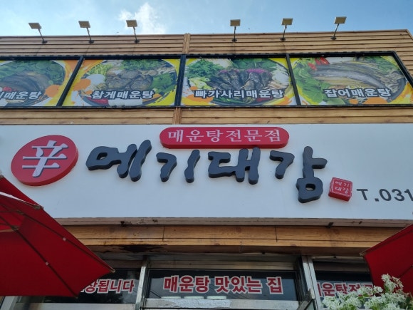 메기대감 이미지