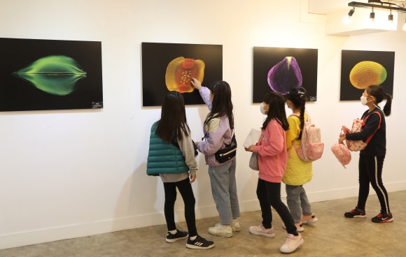 씨앗갤러리 이미지