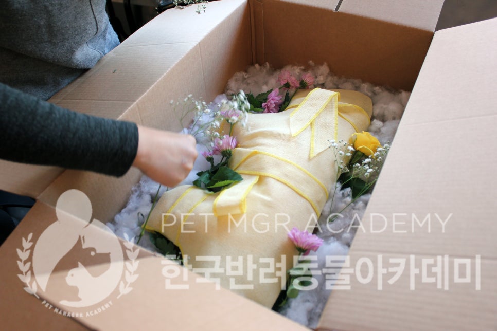 한국전문장례지도사교육원 이미지