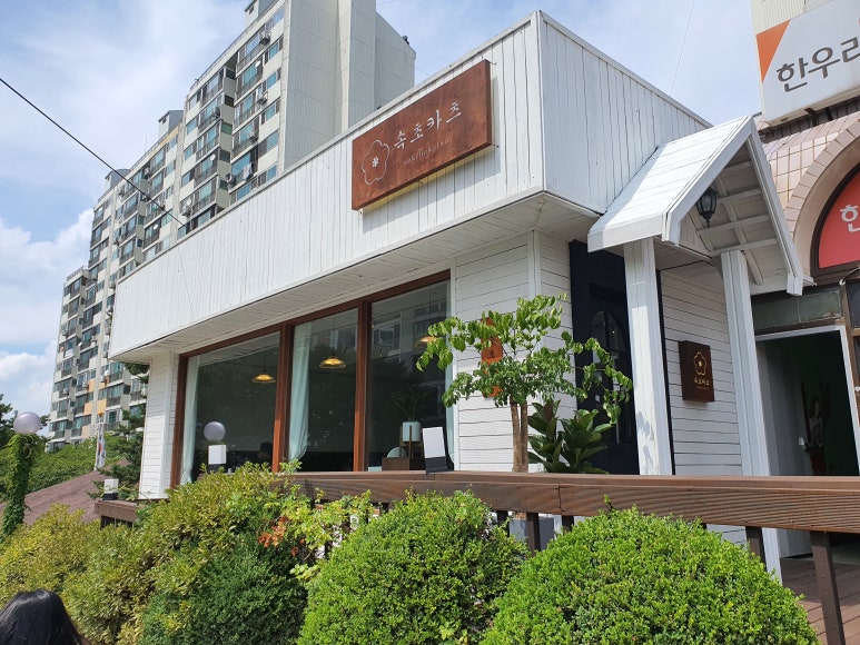 속초카츠 이미지