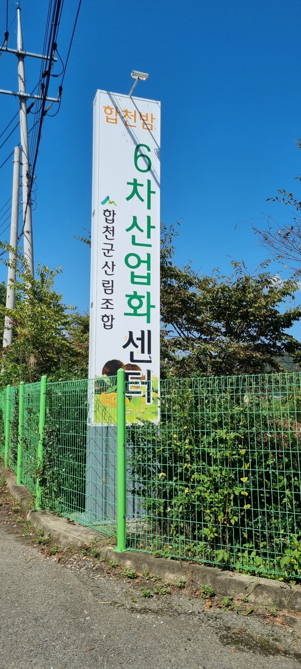 합천군 산림조합 밤6차 산업화 센터 이미지