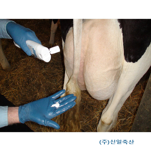 (주)어더나 이미지