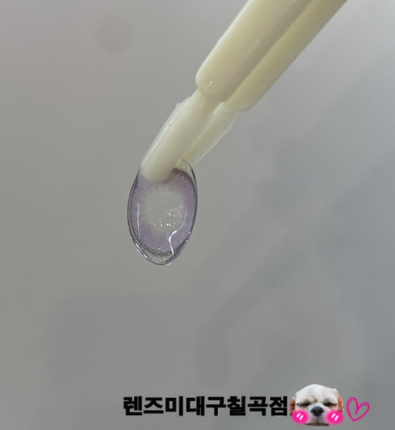 퍼플네이쳐 이미지