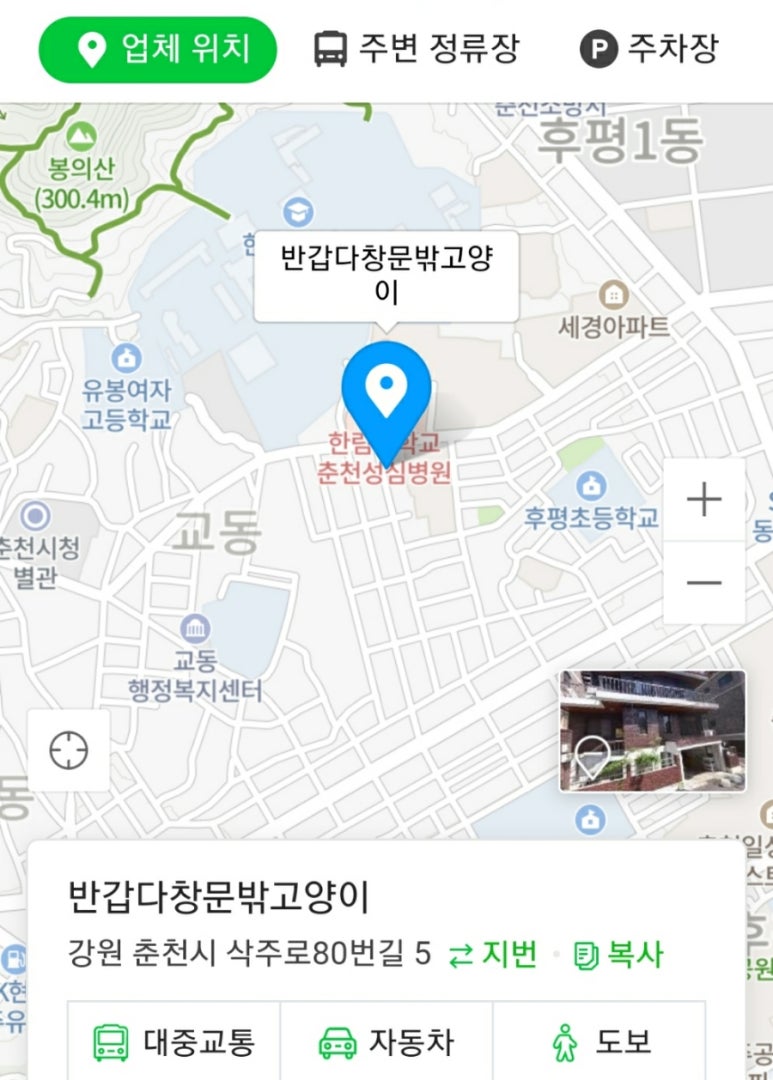 반갑다창문밖고양이 이미지
