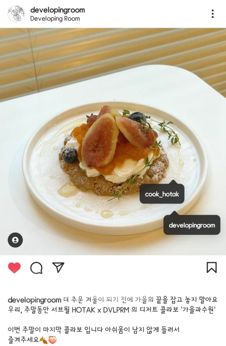 디벨로핑룸 이미지