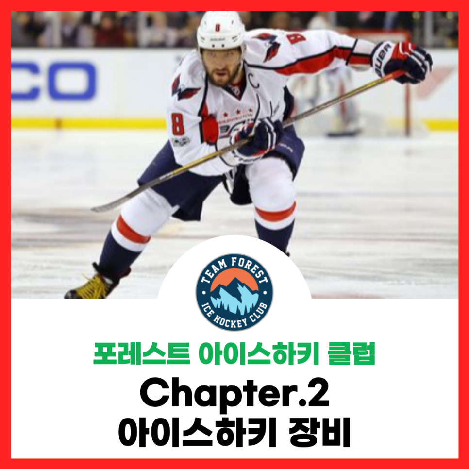 포레스트아이스2 이미지