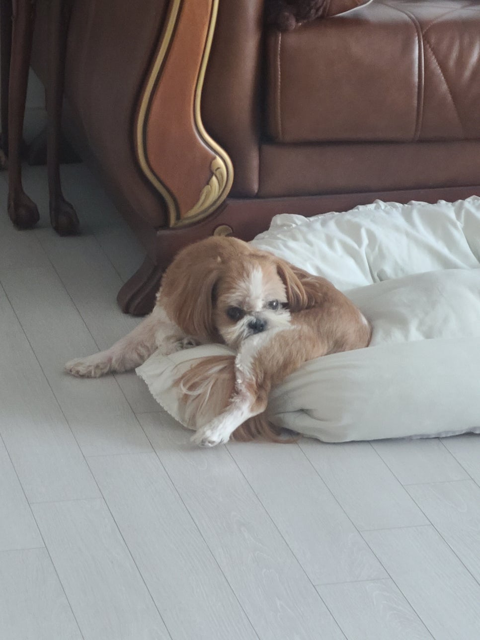짝이되는동무 이미지