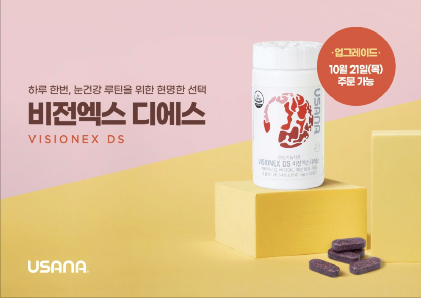 디에스21 이미지