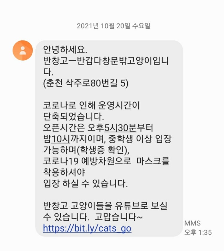 반갑다창문밖고양이 이미지