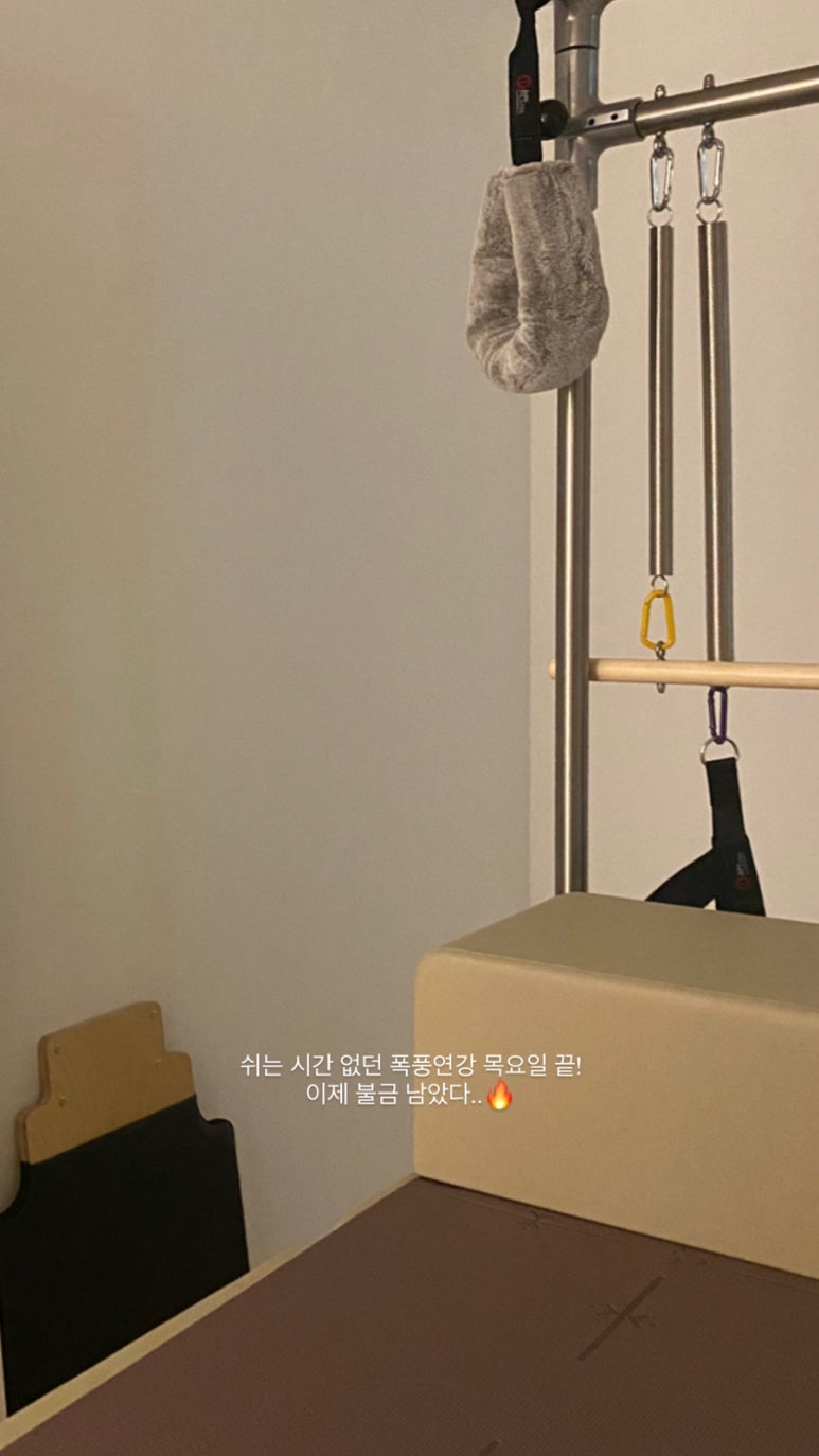 브엘라핏 이미지