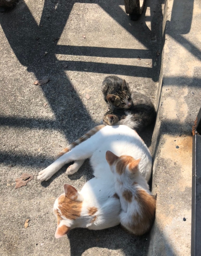 숨앤티 이미지