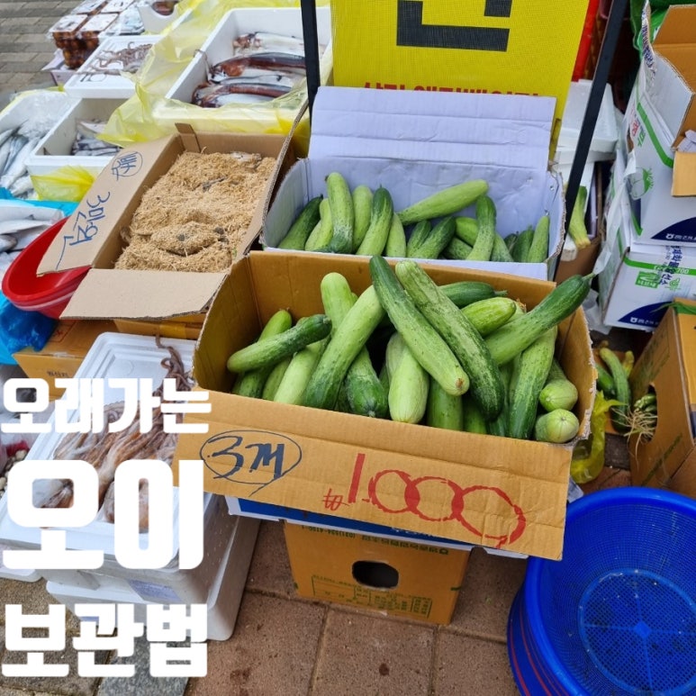딩동댕고덕 이미지