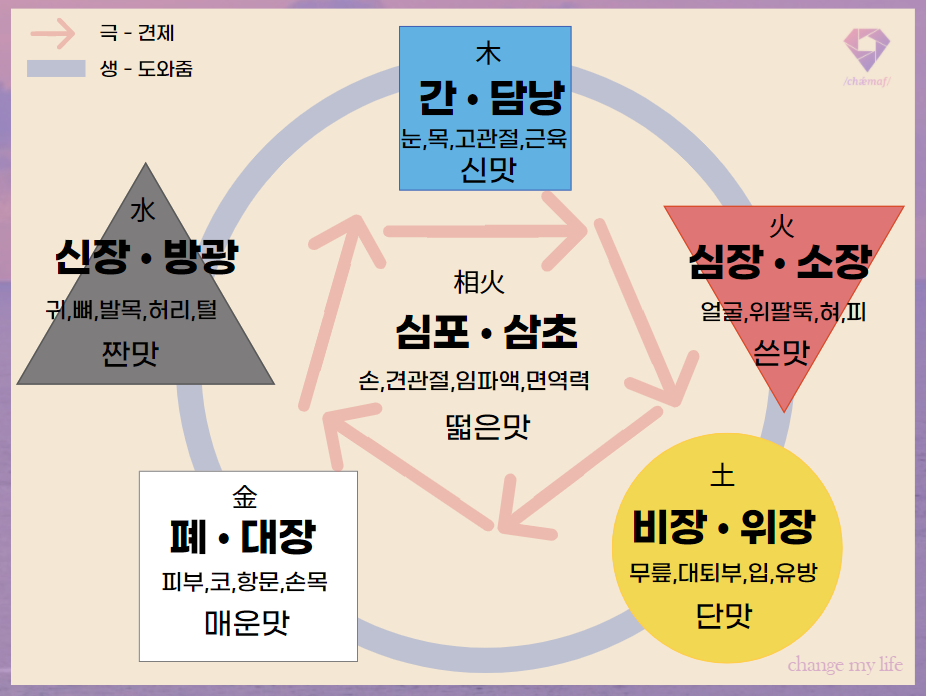 사람과 기(氣) 식품 이미지